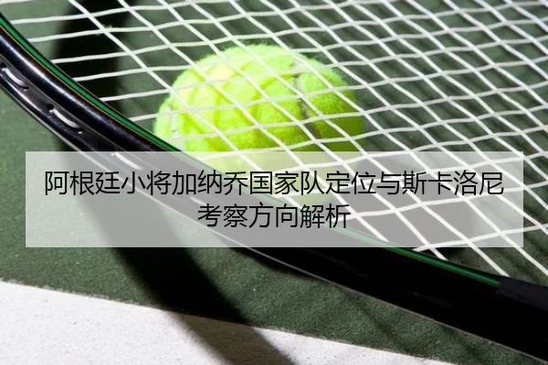 阿根廷小将加纳乔国家队定位与斯卡洛尼考察方向解析 | kaiyun