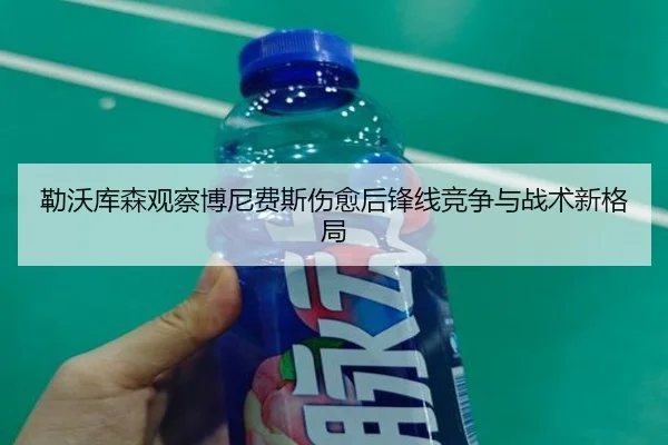 勒沃库森观察博尼费斯伤愈后锋线竞争与战术新格局