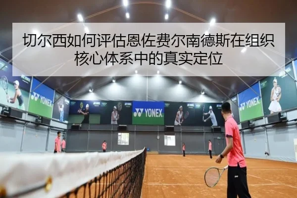 切尔西如何评估恩佐费尔南德斯在组织核心体系中的真实定位